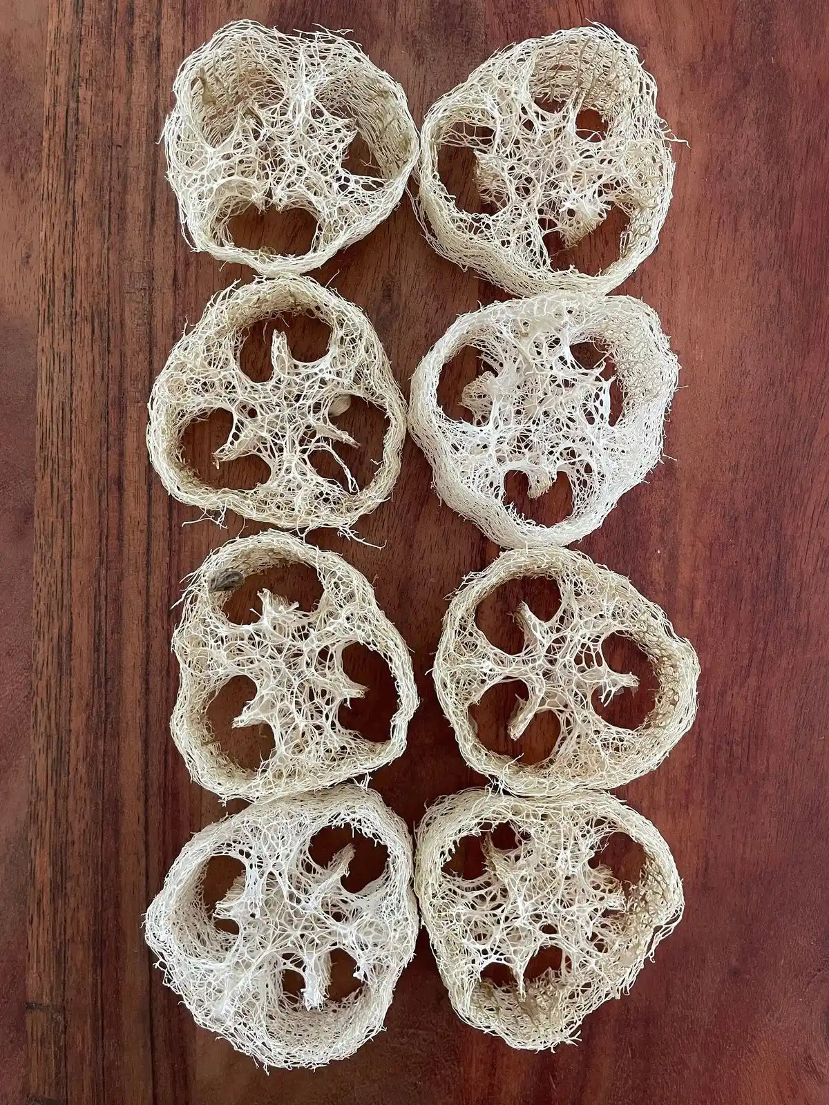 3 Natural Loofah